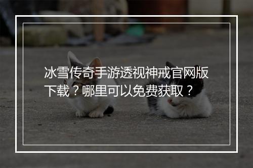 冰雪传奇手游透视神戒官网版下载?哪里可以免费获取?