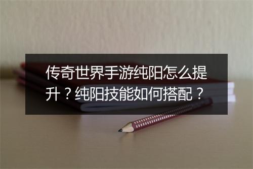 传奇世界手游纯阳怎么提升？纯阳技能如何搭配？