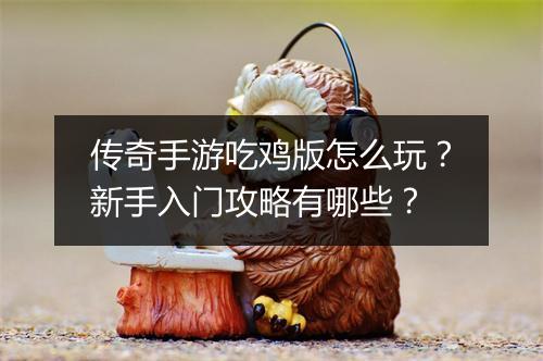 传奇手游吃鸡版怎么玩？新手入门攻略有哪些？