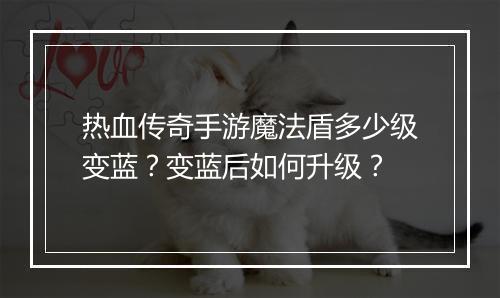 热血传奇手游魔法盾多少级变蓝？变蓝后如何升级？