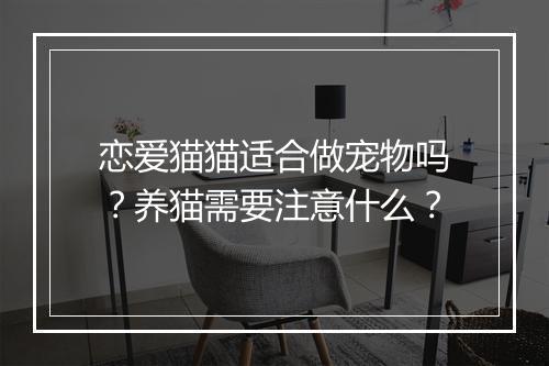 恋爱猫猫适合做宠物吗？养猫需要注意什么？