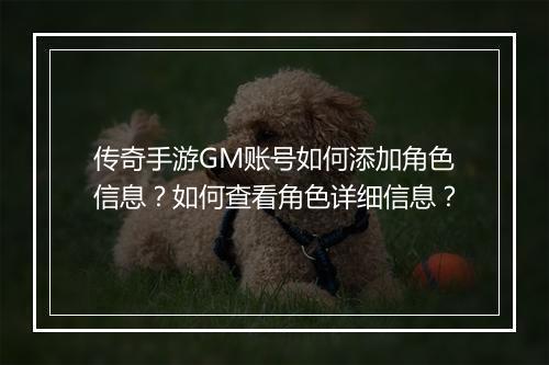 传奇手游GM账号如何添加角色信息？如何查看角色详细信息？