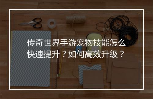 传奇世界手游宠物技能怎么快速提升？如何高效升级？