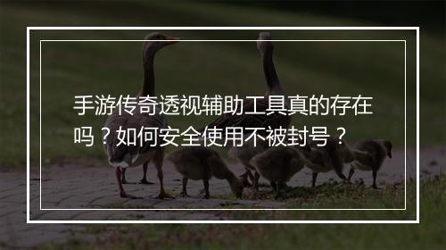 手游传奇透视辅助工具真的存在吗？如何安全使用不被封号？