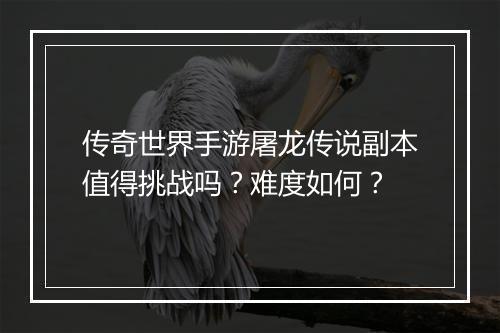 传奇世界手游屠龙传说副本值得挑战吗？难度如何？