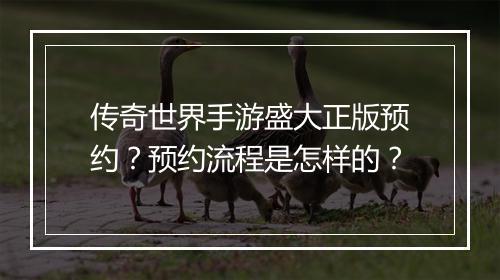 传奇世界手游盛大正版预约？预约流程是怎样的？
