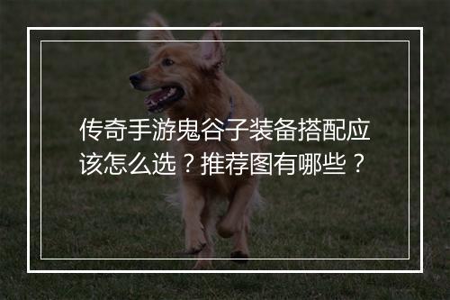 传奇手游鬼谷子装备搭配应该怎么选？推荐图有哪些？