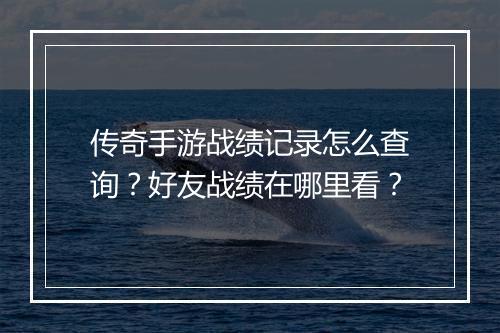 传奇手游战绩记录怎么查询？好友战绩在哪里看？