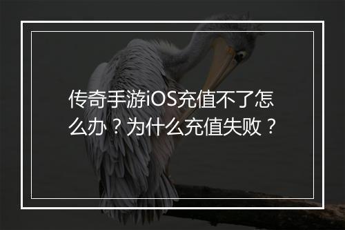 传奇手游iOS充值不了怎么办？为什么充值失败？
