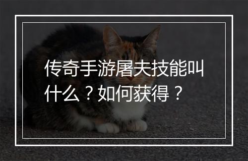 传奇手游屠夫技能叫什么？如何获得？