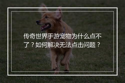 传奇世界手游宠物为什么点不了？如何解决无法点击问题？