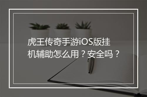 虎王传奇手游iOS版挂机辅助怎么用？安全吗？