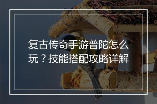 复古传奇手游普陀怎么玩？技能搭配攻略详解