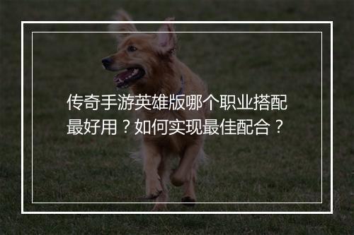 传奇手游英雄版哪个职业搭配最好用？如何实现最佳配合？