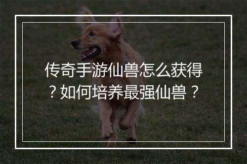 传奇手游仙兽怎么获得？如何培养最强仙兽？
