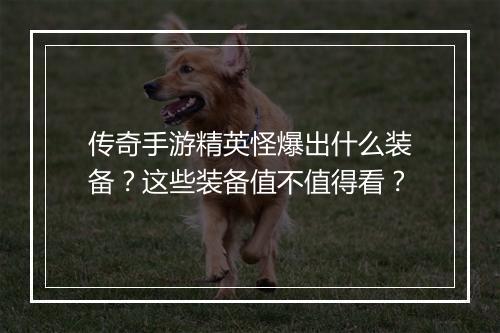 传奇手游精英怪爆出什么装备？这些装备值不值得看？