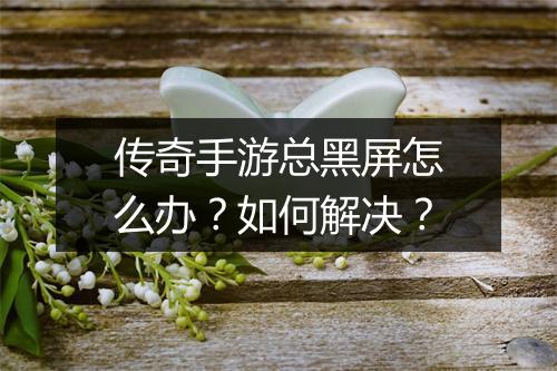 传奇手游总黑屏怎么办？如何解决？