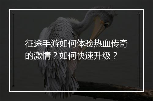 征途手游如何体验热血传奇的激情？如何快速升级？