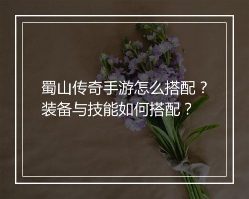 蜀山传奇手游怎么搭配？装备与技能如何搭配？