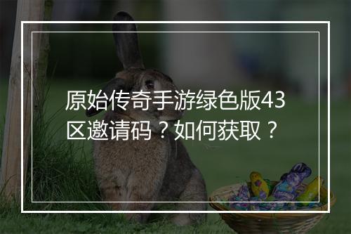 原始传奇手游绿色版43区邀请码？如何获取？