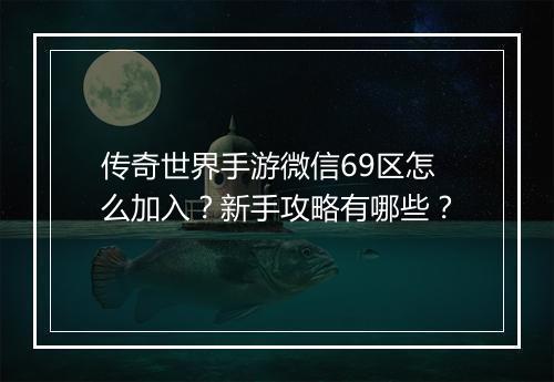 传奇世界手游微信69区怎么加入？新手攻略有哪些？