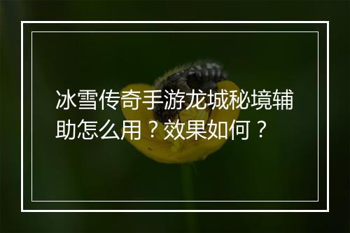 冰雪传奇手游龙城秘境辅助怎么用？效果如何？