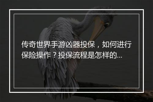 传奇世界手游凶器投保，如何进行保险操作？投保流程是怎样的？