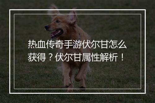 热血传奇手游伏尔甘怎么获得？伏尔甘属性解析！