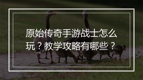 原始传奇手游战士怎么玩？教学攻略有哪些？