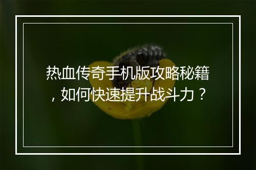 热血传奇手机版攻略秘籍，如何快速提升战斗力？