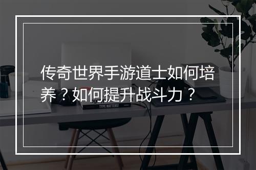 传奇世界手游道士如何培养？如何提升战斗力？
