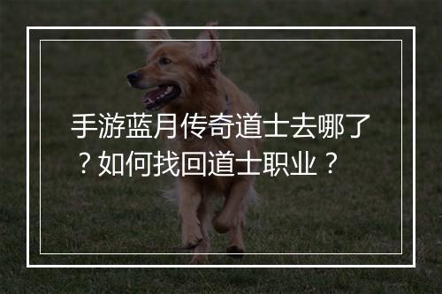 手游蓝月传奇道士去哪了？如何找回道士职业？