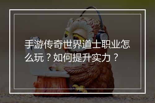 手游传奇世界道士职业怎么玩？如何提升实力？