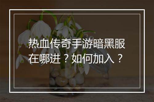 热血传奇手游暗黑服在哪进？如何加入？