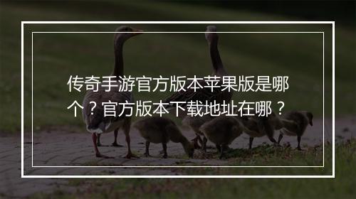 传奇手游官方版本苹果版是哪个？官方版本下载地址在哪？