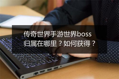 传奇世界手游世界boss归属在哪里？如何获得？
