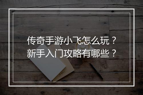 传奇手游小飞怎么玩？新手入门攻略有哪些？