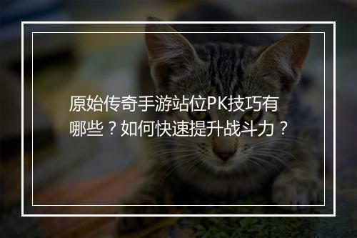 原始传奇手游站位PK技巧有哪些？如何快速提升战斗力？