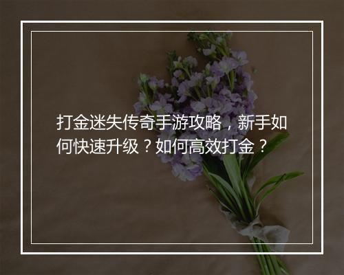 打金迷失传奇手游攻略，新手如何快速升级？如何高效打金？
