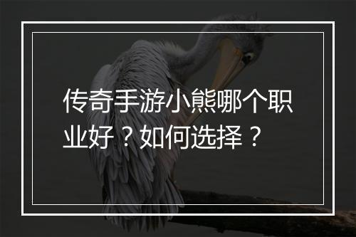 传奇手游小熊哪个职业好？如何选择？