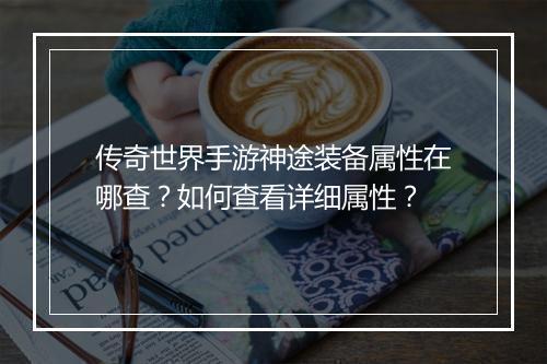 传奇世界手游神途装备属性在哪查？如何查看详细属性？