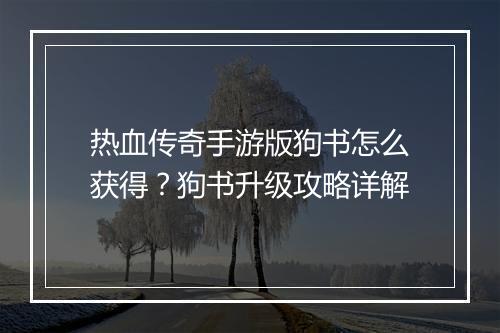 热血传奇手游版狗书怎么获得？狗书升级攻略详解