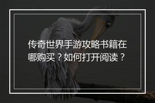 传奇世界手游攻略书籍在哪购买？如何打开阅读？