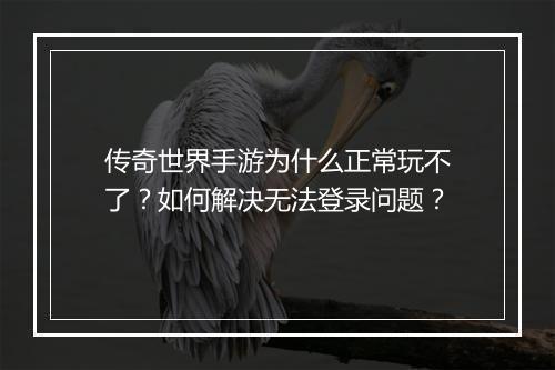 传奇世界手游为什么正常玩不了？如何解决无法登录问题？