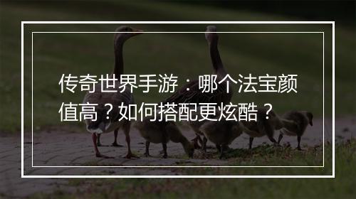 传奇世界手游：哪个法宝颜值高？如何搭配更炫酷？