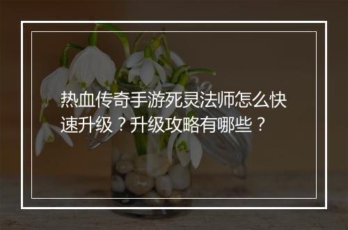 热血传奇手游死灵法师怎么快速升级？升级攻略有哪些？
