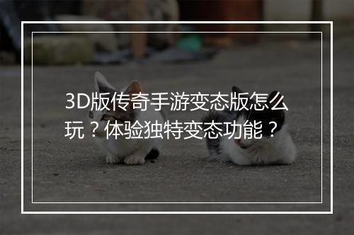 3D版传奇手游变态版怎么玩？体验独特变态功能？