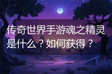 传奇世界手游魂之精灵是什么？如何获得？