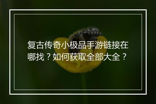 复古传奇小极品手游链接在哪找？如何获取全部大全？