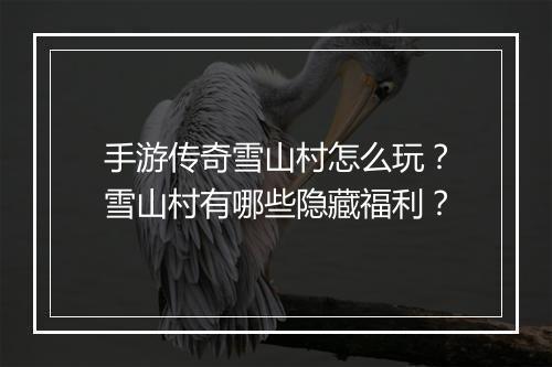 手游传奇雪山村怎么玩？雪山村有哪些隐藏福利？